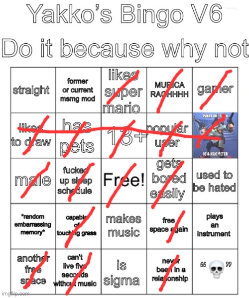 gonna stop the form stuff now | image tagged in yakko s bingo v6 | made w/ Imgflip meme maker