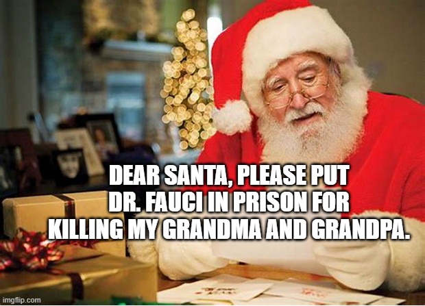 Letter to Santa | DEAR SANTA, PLEASE PUT DR. FAUCI IN PRISON FOR KILLING MY GRANDMA AND GRANDPA. | image tagged in letter to santa | made w/ Imgflip meme maker