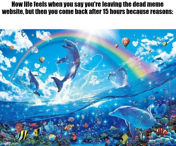 Happy dolphin rainbow | How life feels when you say you're leaving the dead meme website, but then you come back after 15 hours because reasons: | image tagged in happy dolphin rainbow | made w/ Imgflip meme maker