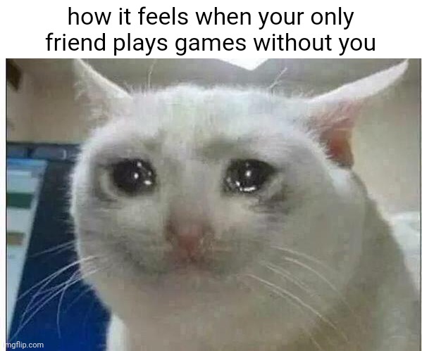 betrayal (/j people have a life) | how it feels when your only friend plays games without you | image tagged in crying cat | made w/ Imgflip meme maker