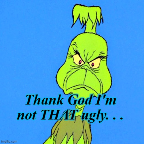 Grinch | Thank God I'm not THAT ugly. . . | image tagged in grinch | made w/ Imgflip meme maker