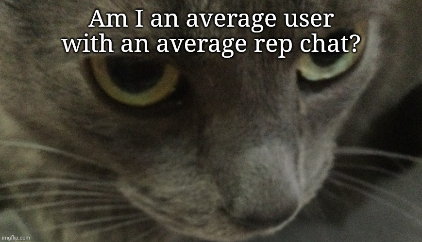 Sweetie | Am I an average user with an average rep chat? | image tagged in sweetie | made w/ Imgflip meme maker