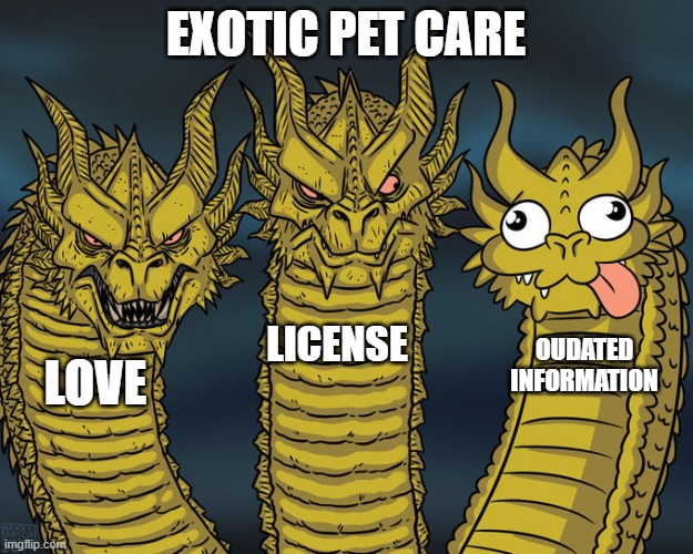 Exotic Pet care - beware of outdated information | EXOTIC PET CARE; LICENSE; OUDATED INFORMATION; LOVE | image tagged in three-headed dragon | made w/ Imgflip meme maker