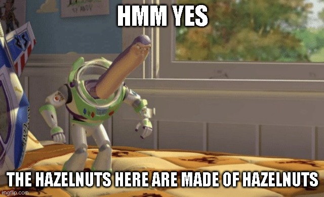 Hmm yes | HMM YES; THE HAZELNUTS HERE ARE MADE OF HAZELNUTS | image tagged in hmm yes | made w/ Imgflip meme maker