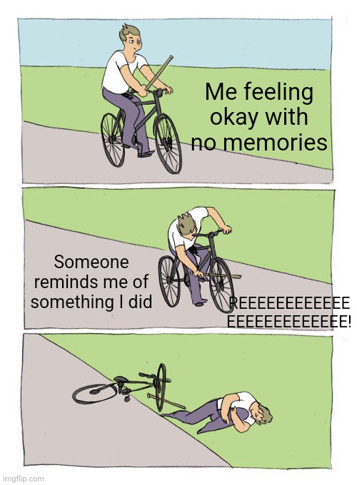 When the reality of yourself sets in | Me feeling okay with no memories; Someone reminds me of something I did; REEEEEEEEEEEE
EEEEEEEEEEEEE! | image tagged in memes,bike fall,depression | made w/ Imgflip meme maker