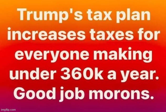 Spoiler Alert: That's You | image tagged in donald trump | made w/ Imgflip meme maker
