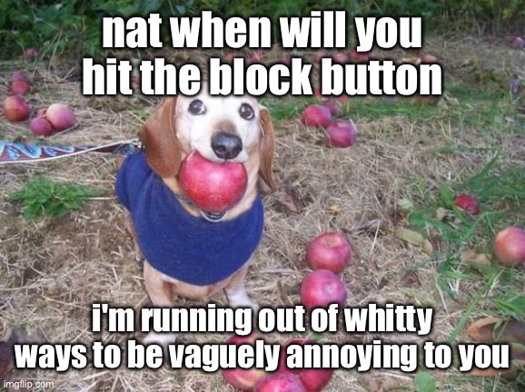 this dock | nat when will you hit the block button; i'm running out of whitty ways to be vaguely annoying to you | image tagged in this dock | made w/ Imgflip meme maker