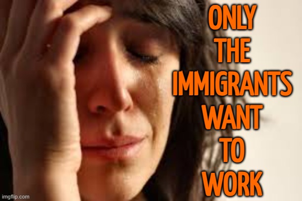 Only The Immigrants Want To Work | ONLY
THE
IMMIGRANTS
WANT
TO
WORK | image tagged in crying lady,illegal immigration,immigrants,immigration,immigrant,scumbag america | made w/ Imgflip meme maker