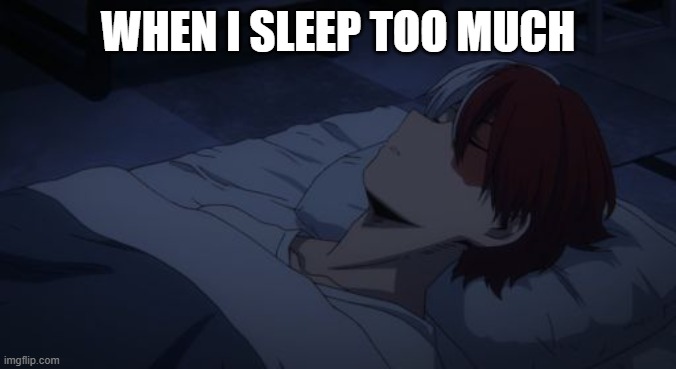 Im tired. | WHEN I SLEEP TOO MUCH | image tagged in todoroki sleeping | made w/ Imgflip meme maker