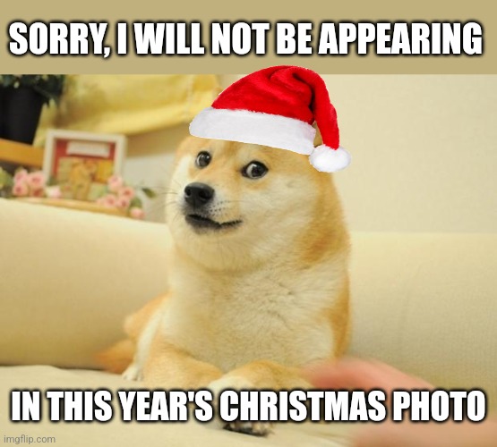 Doge 2 Meme | SORRY, I WILL NOT BE APPEARING IN THIS YEAR'S CHRISTMAS PHOTO | image tagged in memes,doge 2 | made w/ Imgflip meme maker