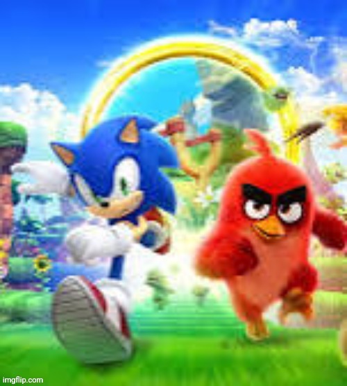 Sonic and angry bird | image tagged in sonic and angry bird | made w/ Imgflip meme maker