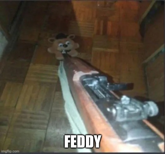 Fie nigts t feddy's | FEDDY | image tagged in gun pointing at freddy | made w/ Imgflip meme maker