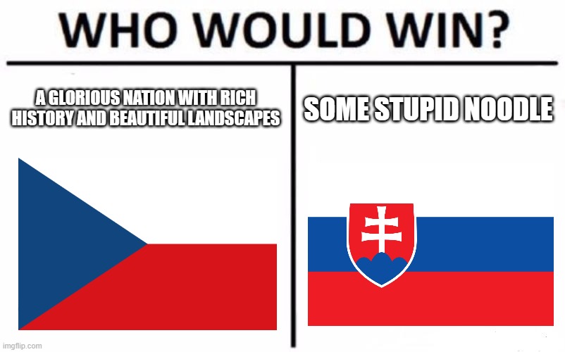 Czechia would win | A GLORIOUS NATION WITH RICH HISTORY AND BEAUTIFUL LANDSCAPES; SOME STUPID NOODLE | image tagged in memes,who would win | made w/ Imgflip meme maker