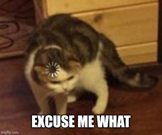 Loading cat | EXCUSE ME WHAT | image tagged in loading cat | made w/ Imgflip meme maker