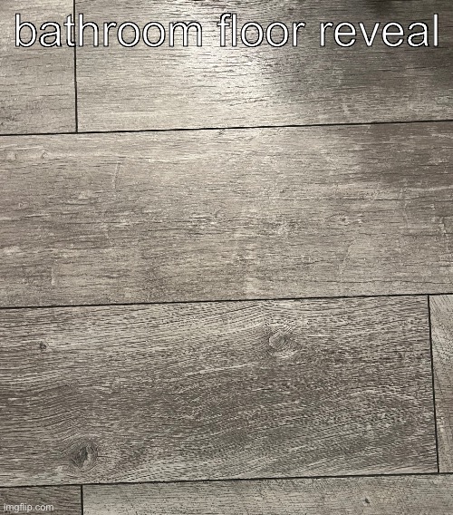 bathroom floor reveal | bathroom floor reveal | image tagged in floor,the floor is,reveal,epic reveal | made w/ Imgflip meme maker