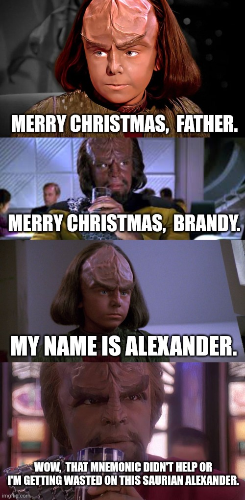 Bad dad | MERRY CHRISTMAS,  FATHER. MERRY CHRISTMAS,  BRANDY. MY NAME IS ALEXANDER. WOW,  THAT MNEMONIC DIDN'T HELP OR I'M GETTING WASTED ON THIS SAURIAN ALEXANDER. | image tagged in star trek tng | made w/ Imgflip meme maker