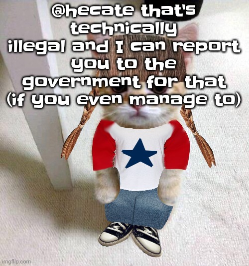 Nyami | @hecate that's technically illegal and I can report you to the government for that (if you even manage to) | image tagged in nyami | made w/ Imgflip meme maker