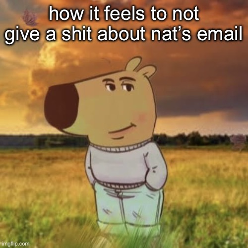 Chill guy | how it feels to not give a shit about nat’s email | image tagged in chill guy | made w/ Imgflip meme maker