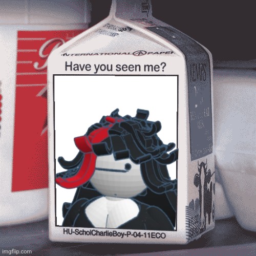 Missing Person | image tagged in missing person | made w/ Imgflip meme maker