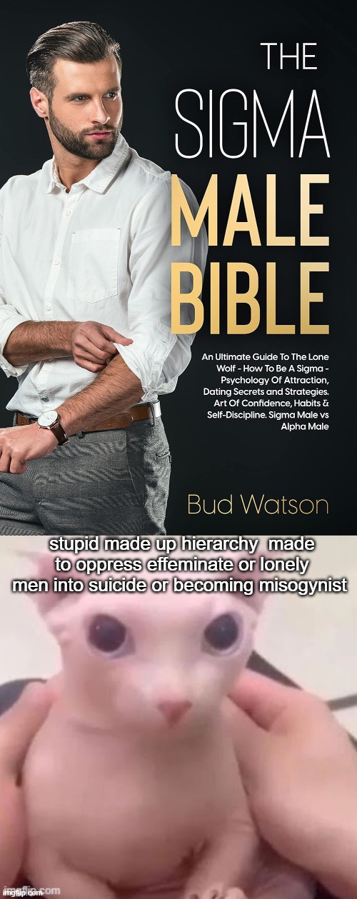 stupid made up hierarchy  made to oppress effeminate or lonely men into suicide or becoming misogynist | image tagged in bingus | made w/ Imgflip meme maker