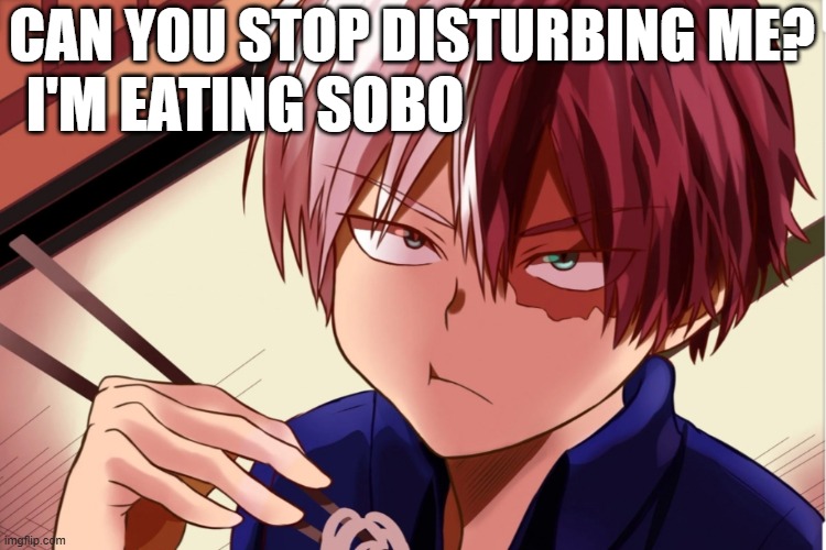 stop. | CAN YOU STOP DISTURBING ME? I'M EATING SOBO | image tagged in shoto eating | made w/ Imgflip meme maker