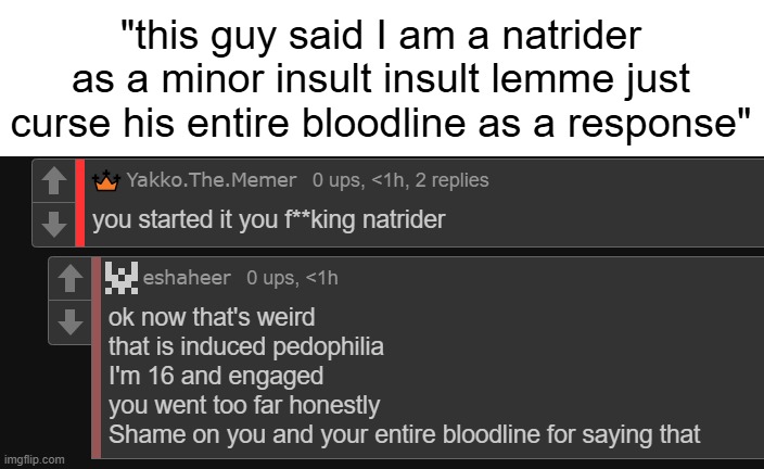 and nat is less childish than this guy somehow? | "this guy said I am a natrider as a minor insult insult lemme just curse his entire bloodline as a response" | made w/ Imgflip meme maker