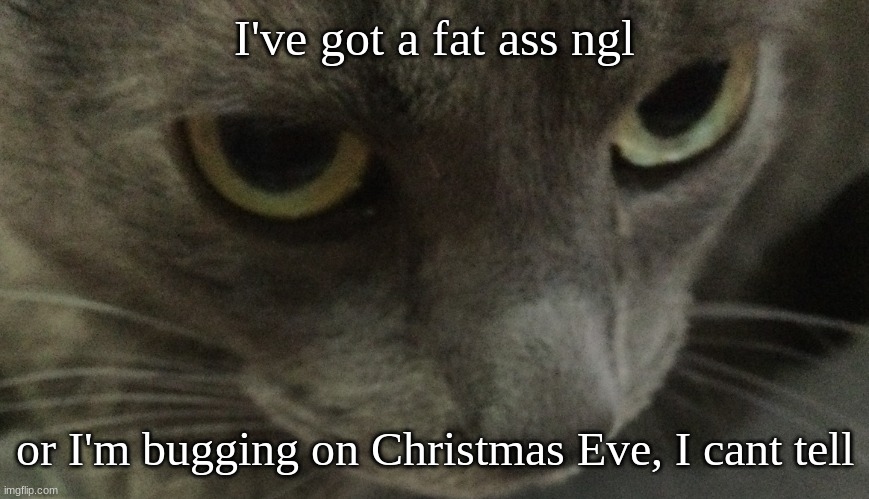 Sweetie | I've got a fat ass ngl; or I'm bugging on Christmas Eve, I cant tell | image tagged in sweetie | made w/ Imgflip meme maker