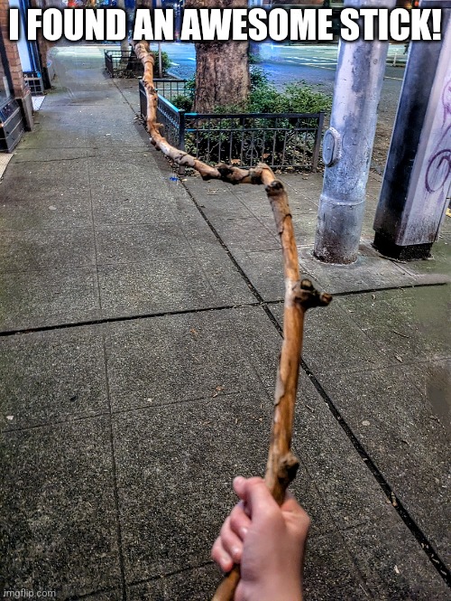 An awesome stick | I FOUND AN AWESOME STICK! | image tagged in cool stick,epic stick,stick | made w/ Imgflip meme maker