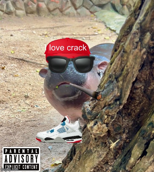 Moo Deng Based | I love crack | image tagged in moo deng peek | made w/ Imgflip meme maker