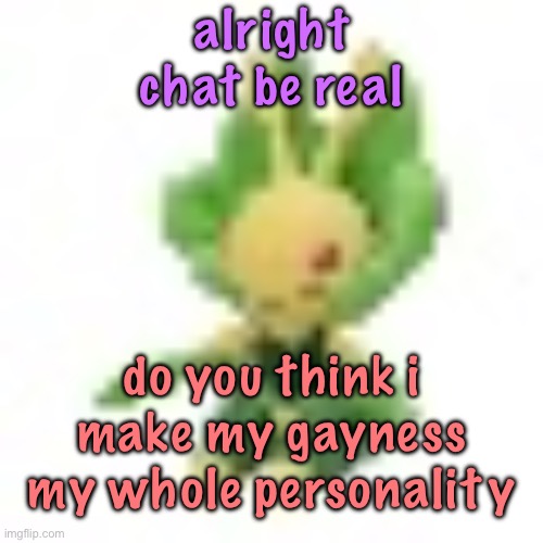 please be no | alright chat be real; do you think i make my gayness my whole personality | image tagged in 144p leavanny,cinnabox announcement | made w/ Imgflip meme maker