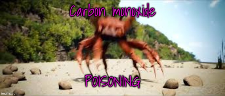 crab rave | Carbon monoxide POISONING | image tagged in crab rave | made w/ Imgflip meme maker