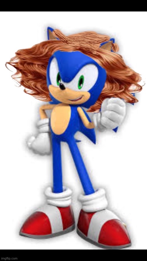 Sonic with hair | image tagged in sonic with hair | made w/ Imgflip meme maker