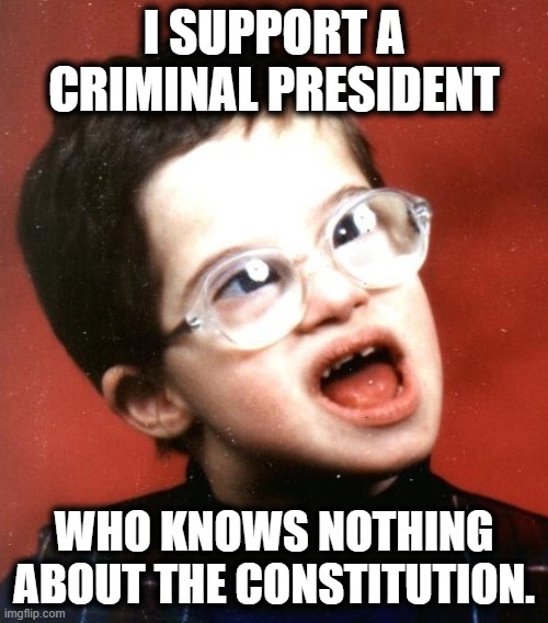 Demonstrably | I SUPPORT A CRIMINAL PRESIDENT; WHO KNOWS NOTHING ABOUT THE CONSTITUTION. | image tagged in donald trump | made w/ Imgflip meme maker