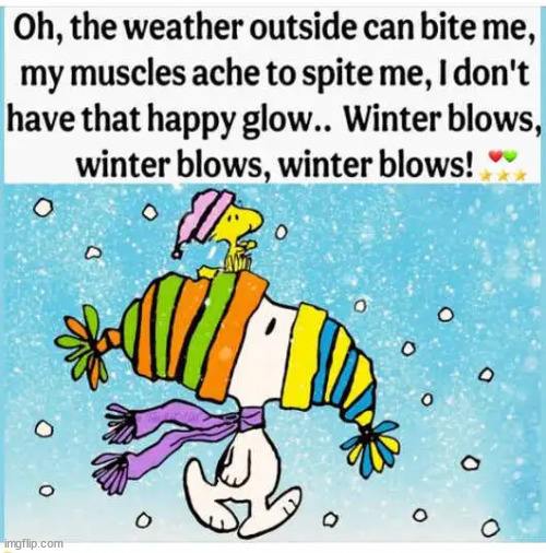 Winter blows | image tagged in repost,winter blows | made w/ Imgflip meme maker