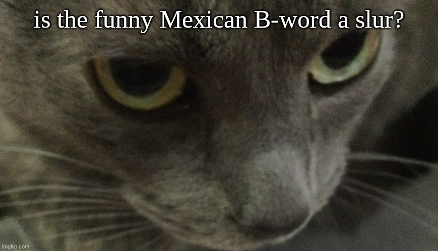 Sweetie | is the funny Mexican B-word a slur? | image tagged in sweetie | made w/ Imgflip meme maker