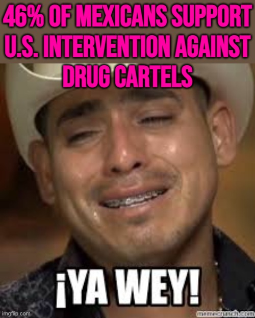 Mexicans Divided Regarding Idea Of U.S. Intervention Against Cartels | 46% OF MEXICANS SUPPORT
U.S. INTERVENTION AGAINST
DRUG CARTELS | image tagged in ya wey,drugs,war on drugs,mexico,mexico wall,cocaine is a hell of a drug | made w/ Imgflip meme maker