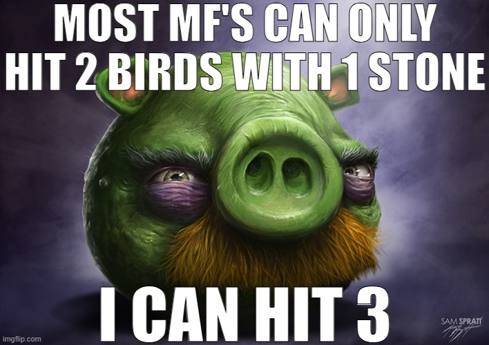 Realistic angry birds | MOST MF'S CAN ONLY HIT 2 BIRDS WITH 1 STONE; I CAN HIT 3 | made w/ Imgflip meme maker