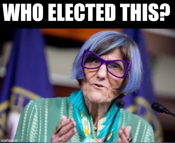 WHO ELECTED THIS? | made w/ Imgflip meme maker