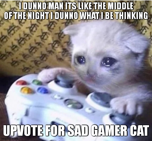 sad gamer cat | I DUNNO MAN ITS LIKE THE MIDDLE OF THE NIGHT I DUNNO WHAT I BE THINKING; UPVOTE FOR SAD GAMER CAT | image tagged in sad gaming cat,memes,unfunny | made w/ Imgflip meme maker