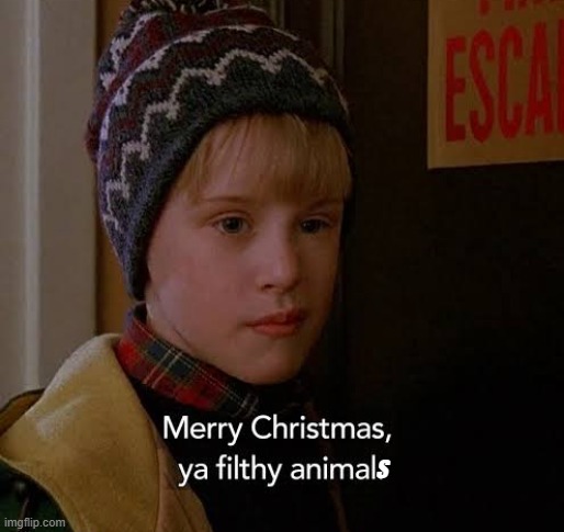 And a Happy New Year! | S | image tagged in merry christmas ya filthy animal | made w/ Imgflip meme maker