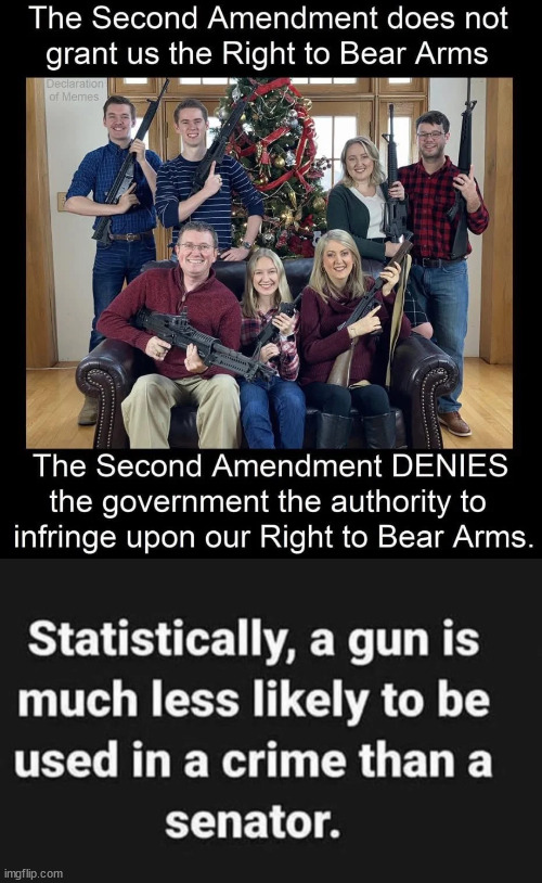 2nd Amendment | image tagged in 2a | made w/ Imgflip meme maker