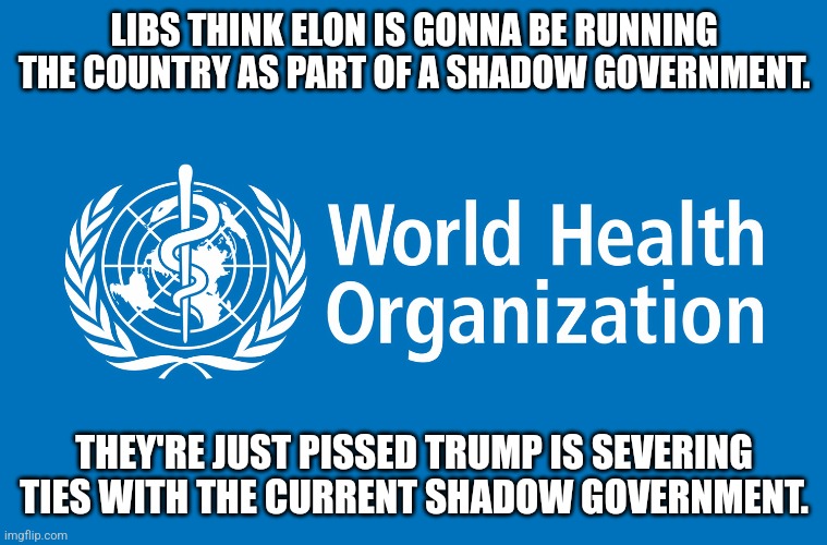 global grifting organization loses influence | LIBS THINK ELON IS GONNA BE RUNNING THE COUNTRY AS PART OF A SHADOW GOVERNMENT. THEY'RE JUST PISSED TRUMP IS SEVERING TIES WITH THE CURRENT SHADOW GOVERNMENT. | image tagged in who | made w/ Imgflip meme maker