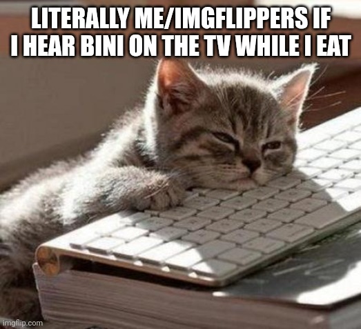 We have nothing to do. This has only thousands | LITERALLY ME/IMGFLIPPERS IF I HEAR BINI ON THE TV WHILE I EAT | image tagged in tired cat | made w/ Imgflip meme maker