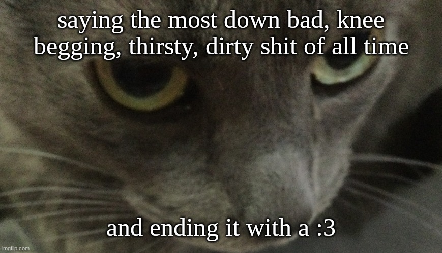 Sweetie | saying the most down bad, knee begging, thirsty, dirty shit of all time; and ending it with a :3 | image tagged in sweetie | made w/ Imgflip meme maker