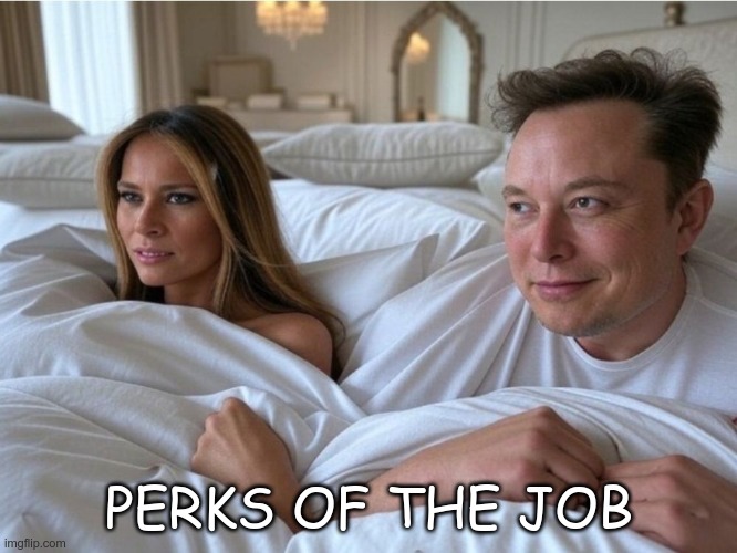 Benefits Package | PERKS OF THE JOB | image tagged in trump,musk,gop,maga,fascists,losers | made w/ Imgflip meme maker