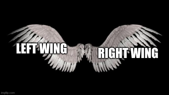 Angel Wings | RIGHT WING; LEFT WING | image tagged in angel wings | made w/ Imgflip meme maker