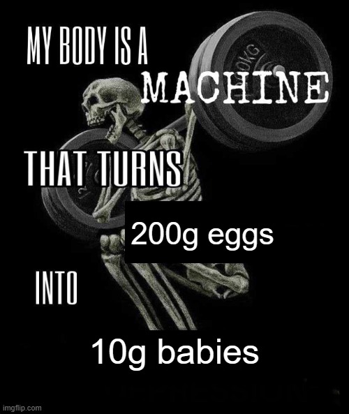 9etrt6.jpg