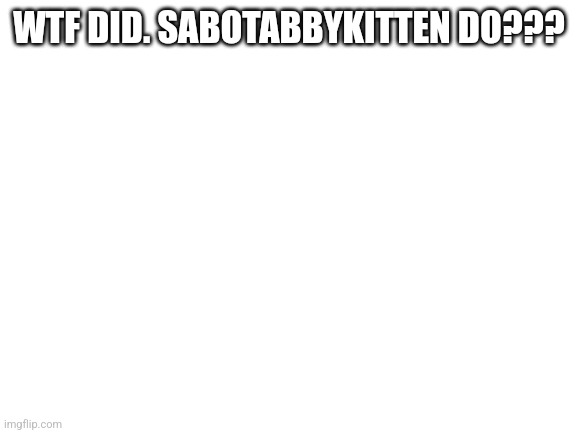 Blank White Template | WTF DID. SABOTABBYKITTEN DO??? | image tagged in blank white template | made w/ Imgflip meme maker