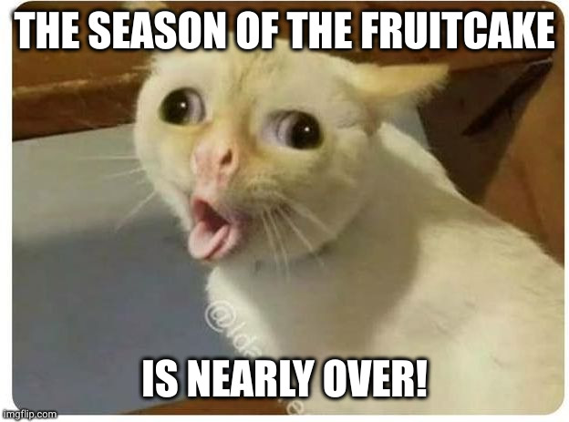 The bane of Christmas sweets | THE SEASON OF THE FRUITCAKE; IS NEARLY OVER! | image tagged in kids cough,fruitcake,christmas,disgusting,memes,cat | made w/ Imgflip meme maker