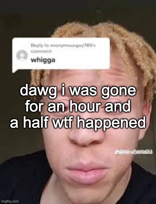 whigga | dawg i was gone for an hour and a half wtf happened | image tagged in whigga | made w/ Imgflip meme maker